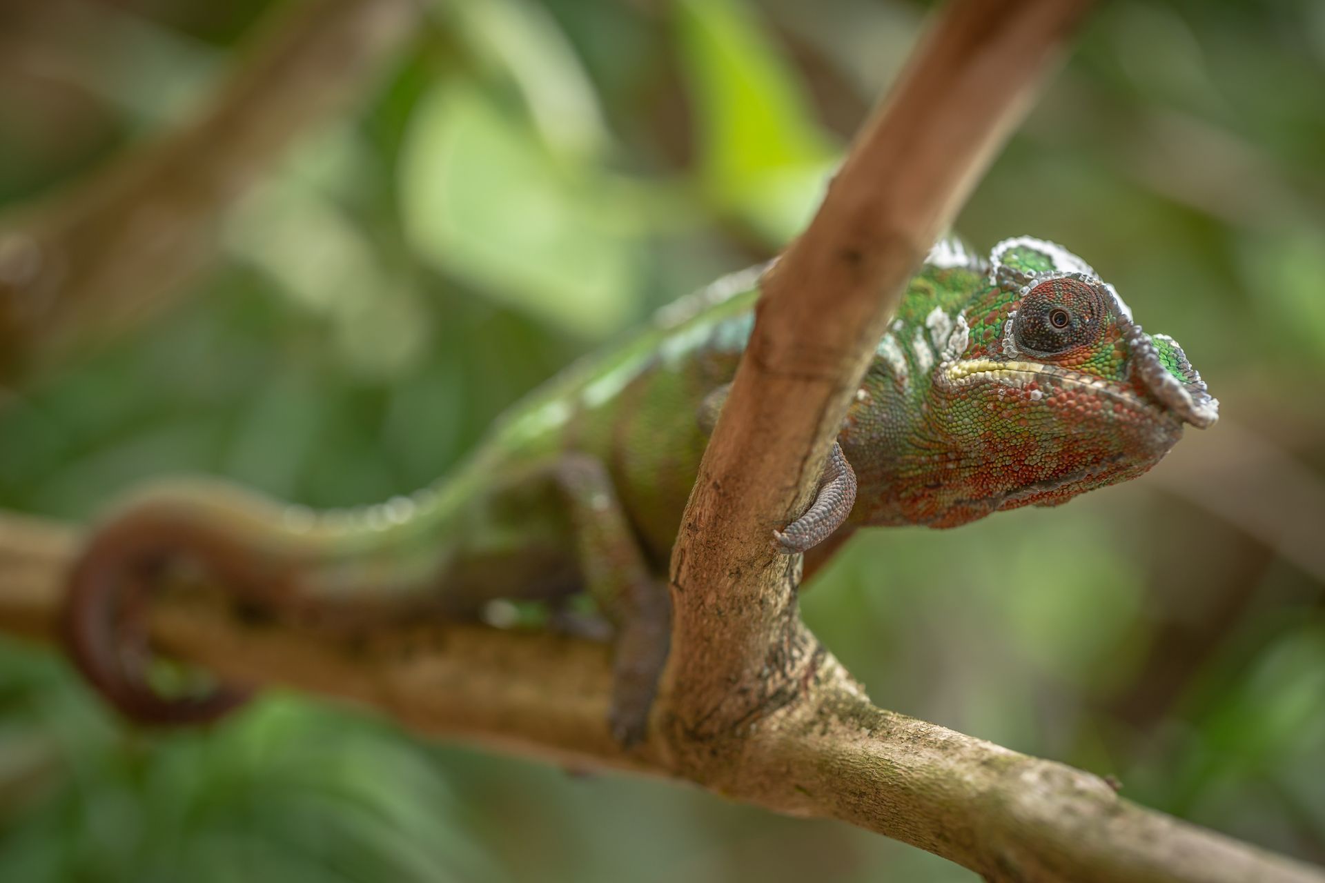 DIARY MADAGASKAR