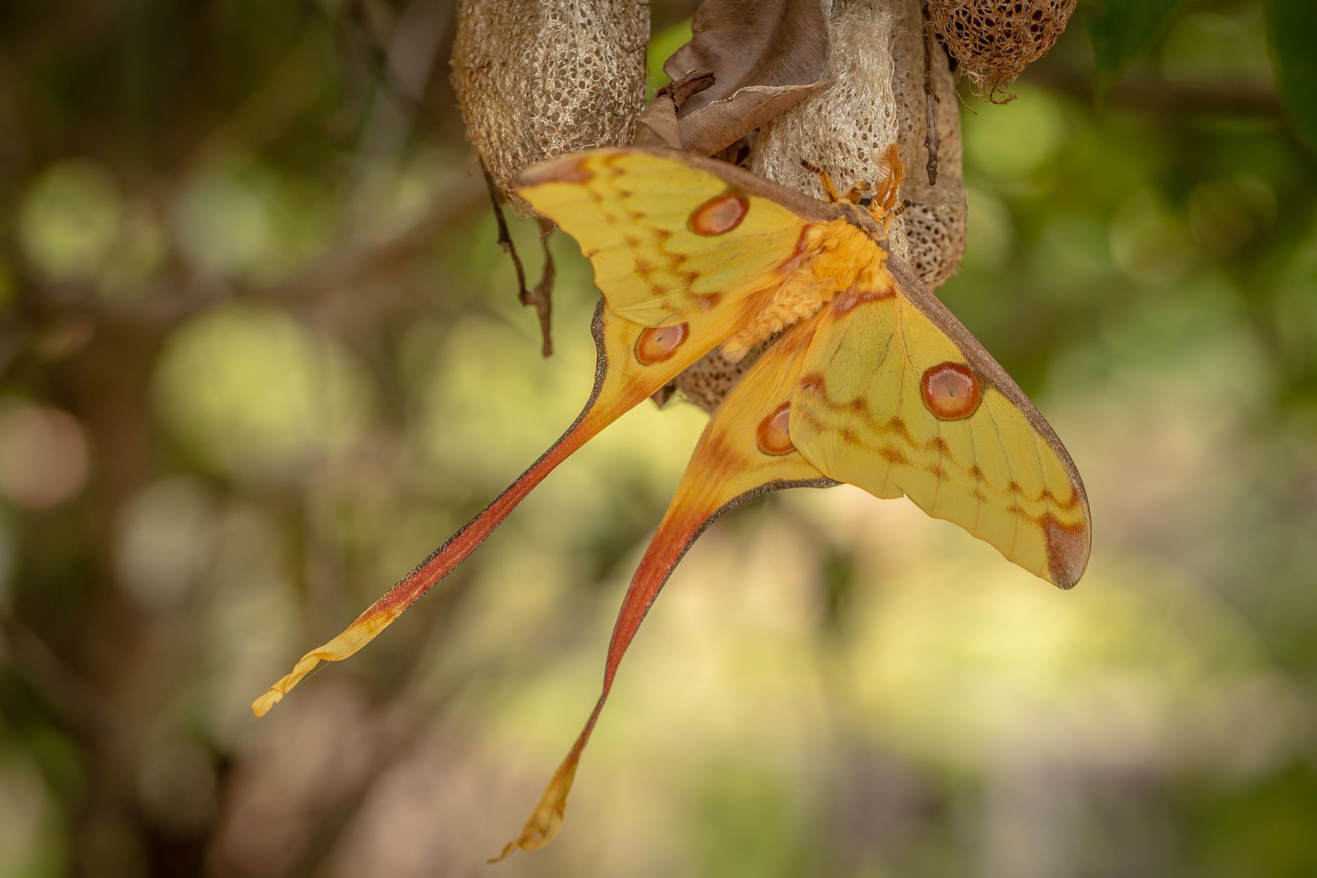 DIARY MADAGASKAR