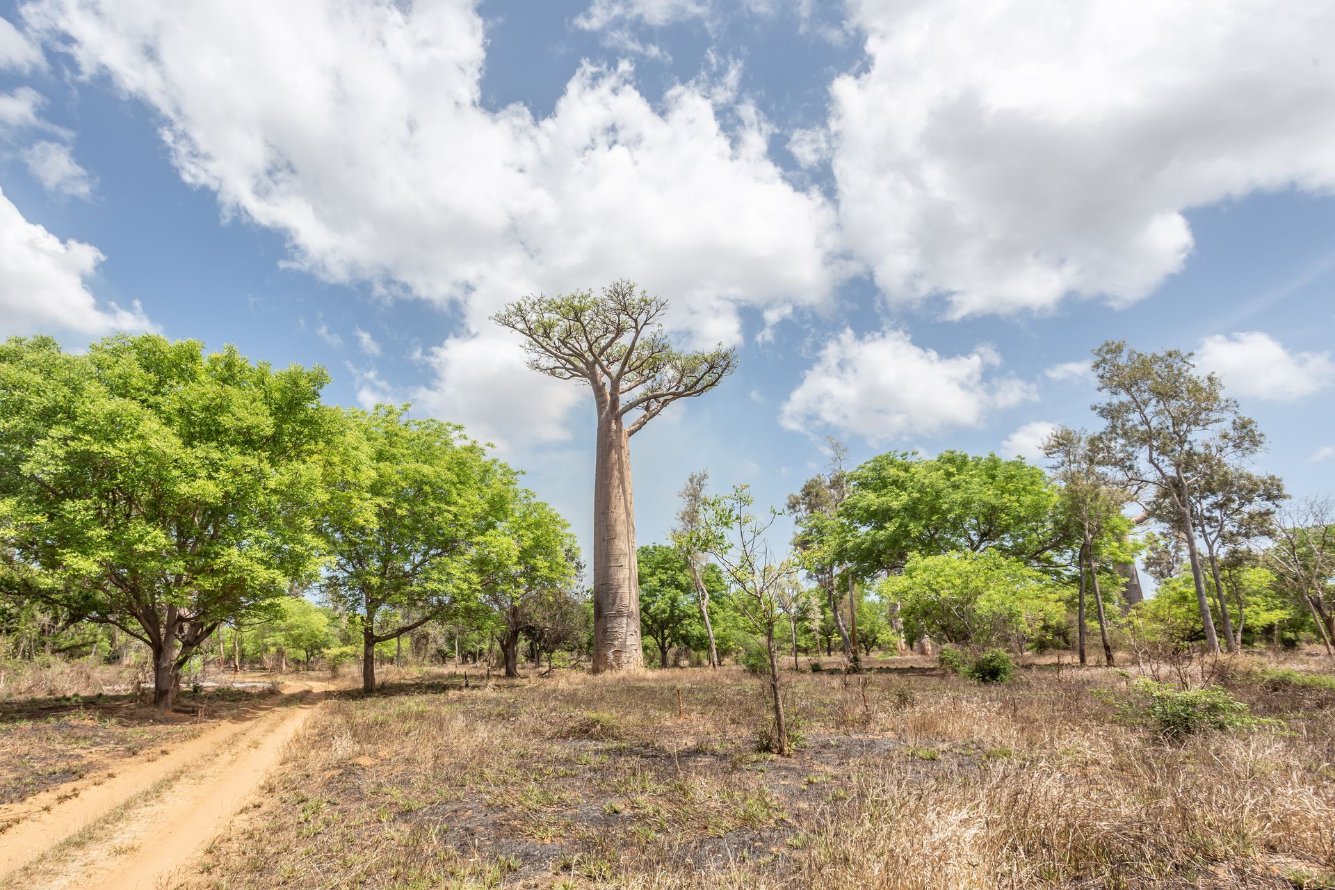 DIARY MADAGASKAR