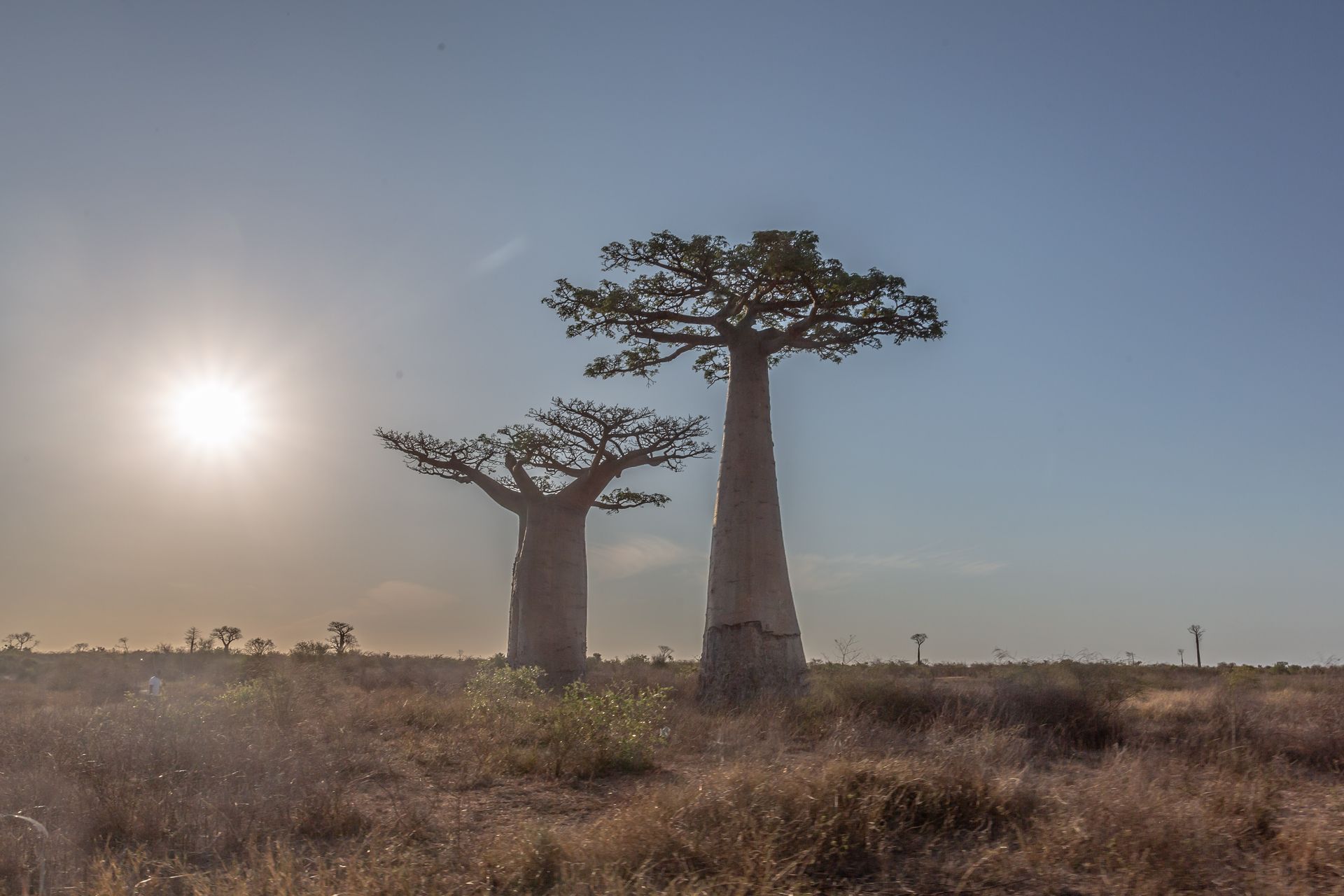 DIARY MADAGASKAR