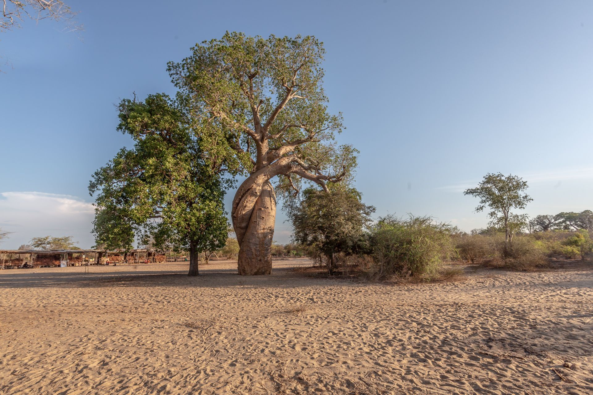 DIARY MADAGASKAR