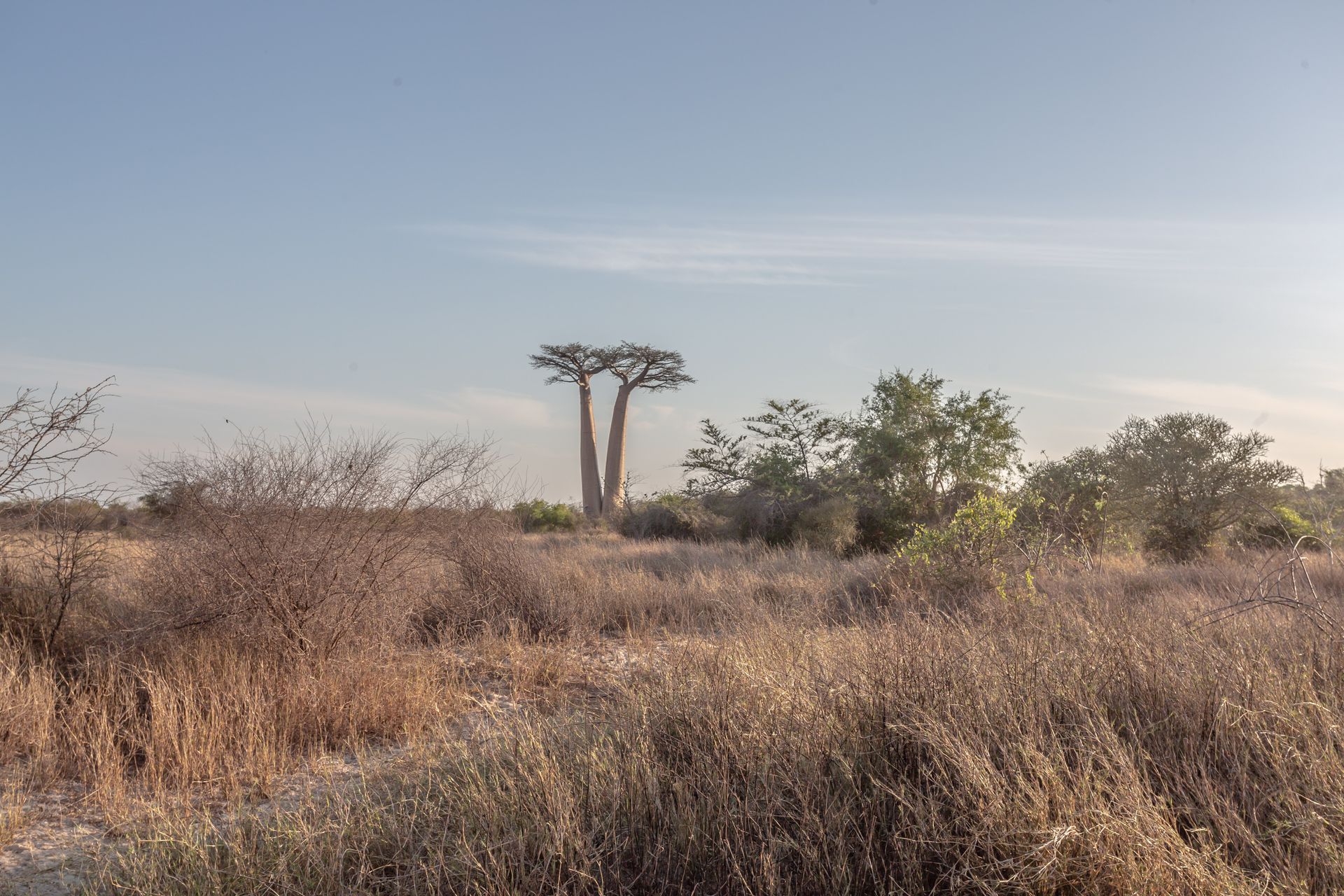 DIARY MADAGASKAR