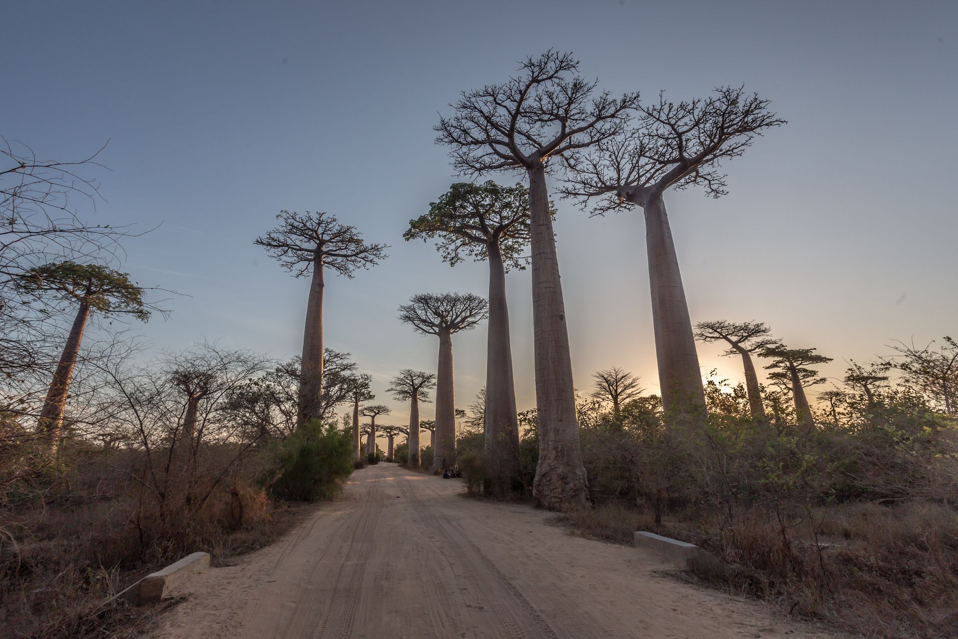 DIARY MADAGASKAR