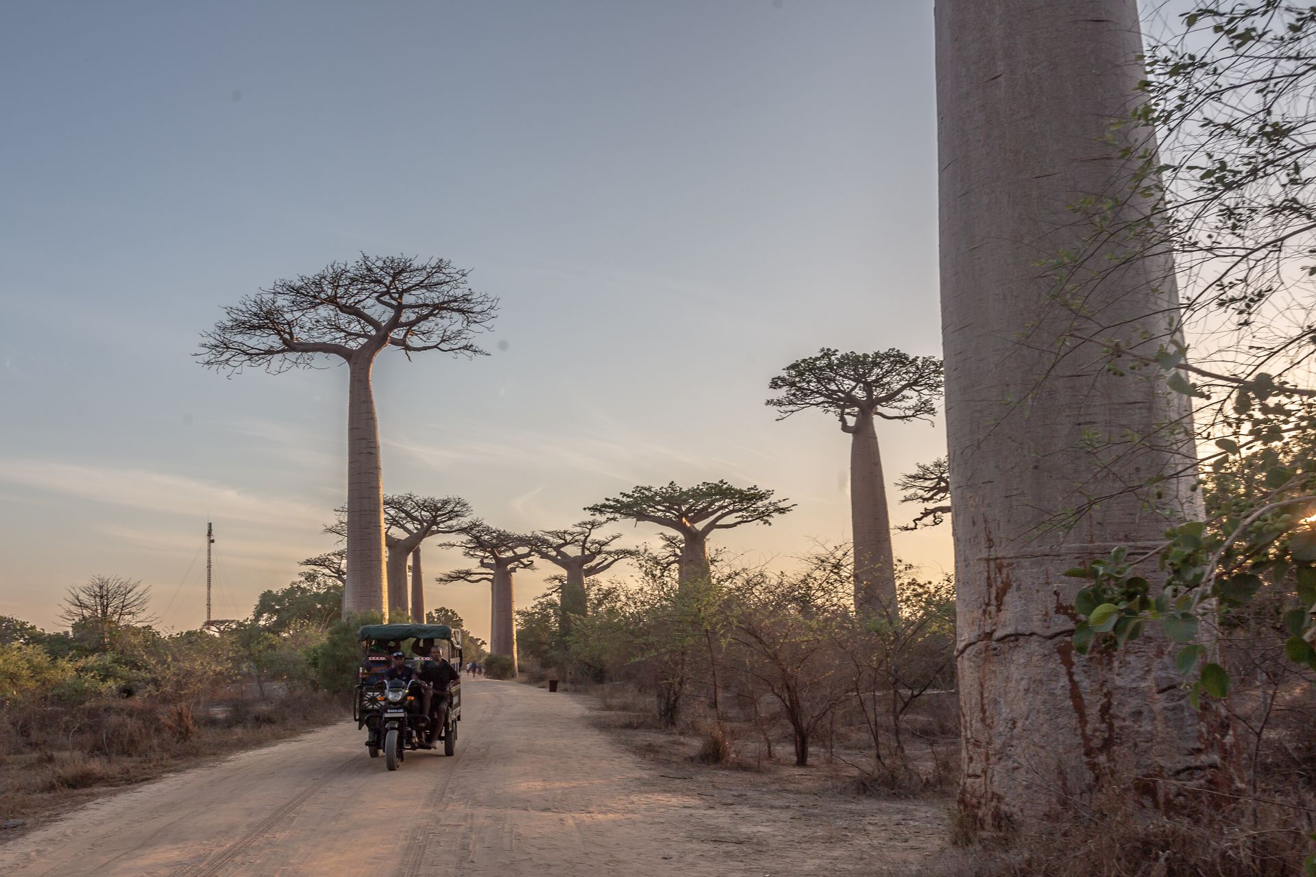 DIARY MADAGASKAR