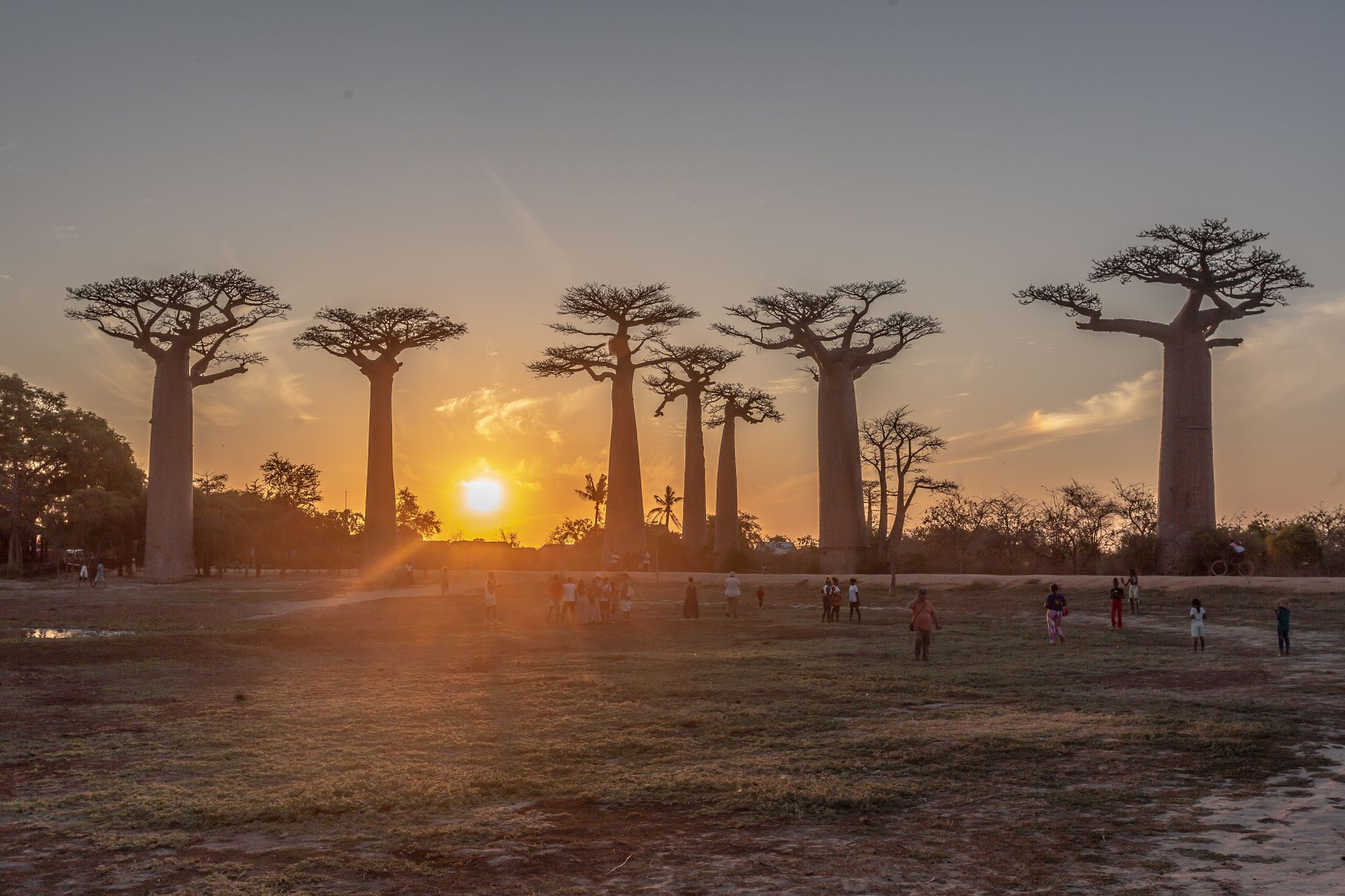DIARY MADAGASKAR