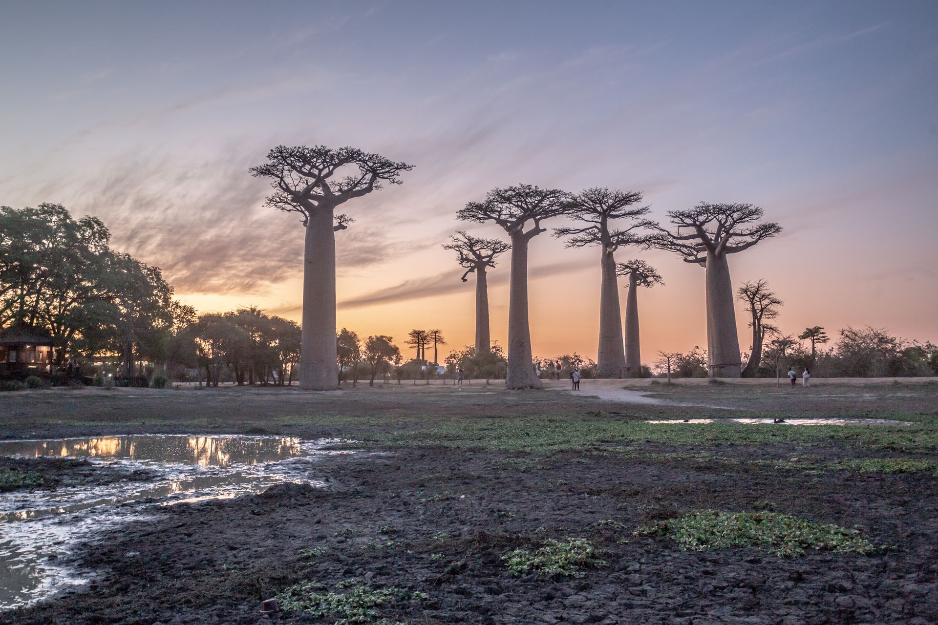 DIARY MADAGASKAR
