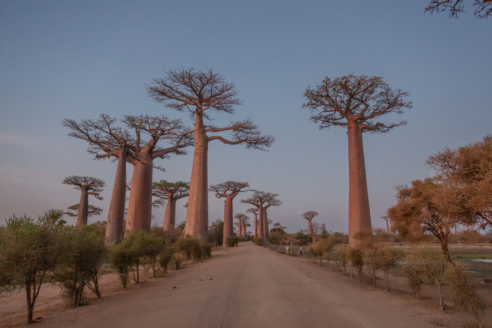 DIARY MADAGASKAR