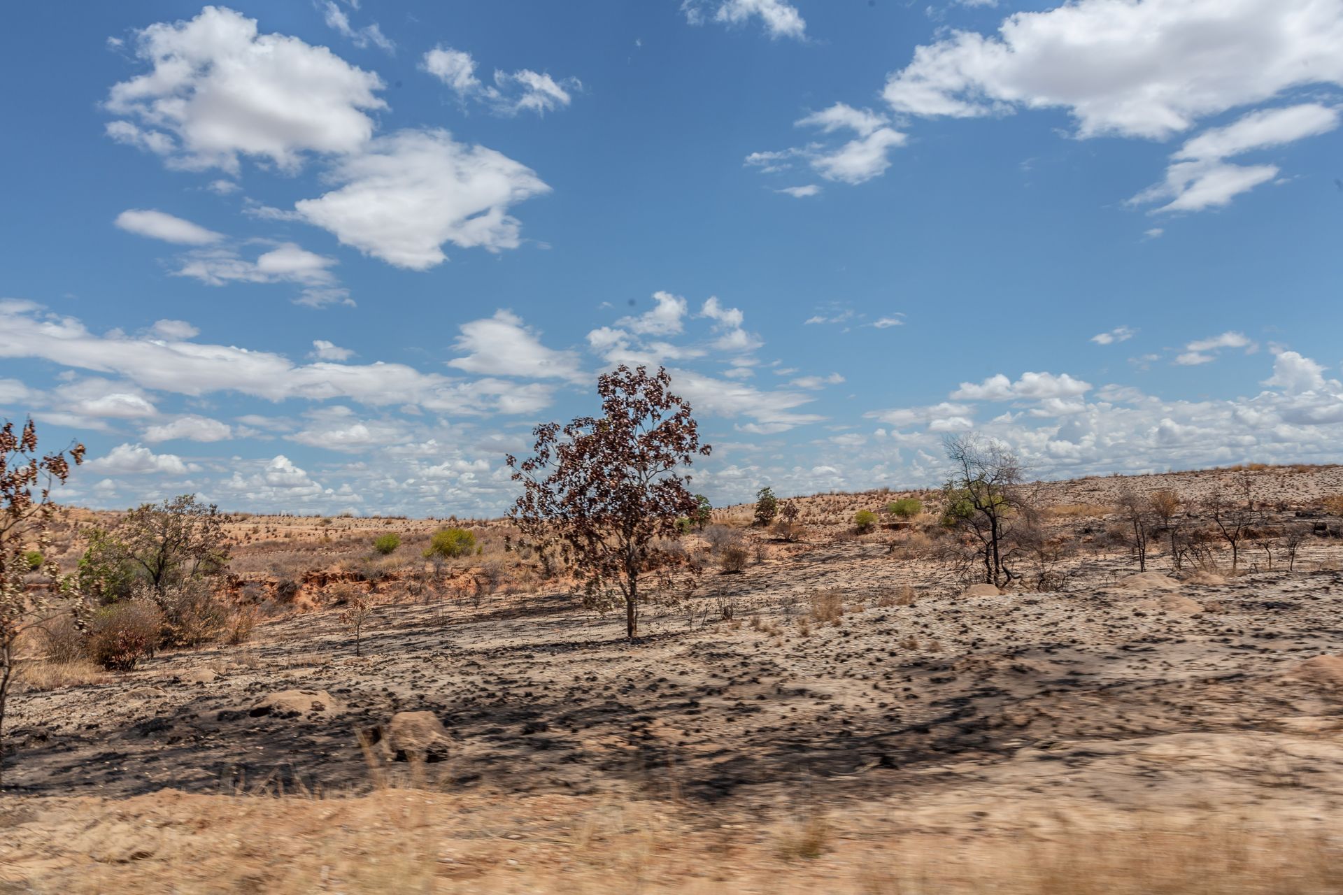 DIARY MADAGASKAR