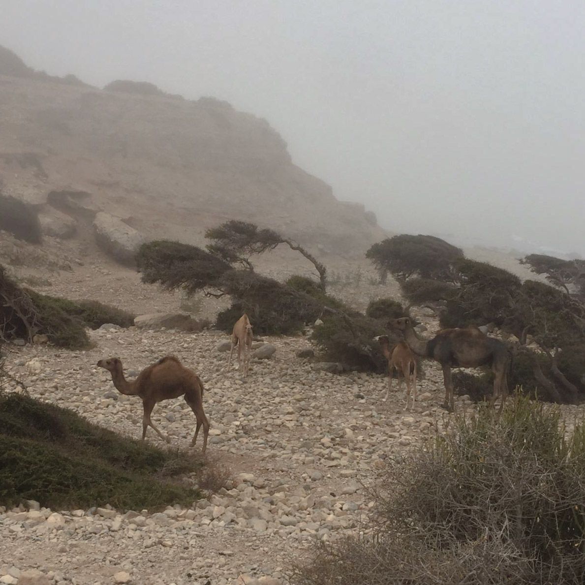 MOROCCO