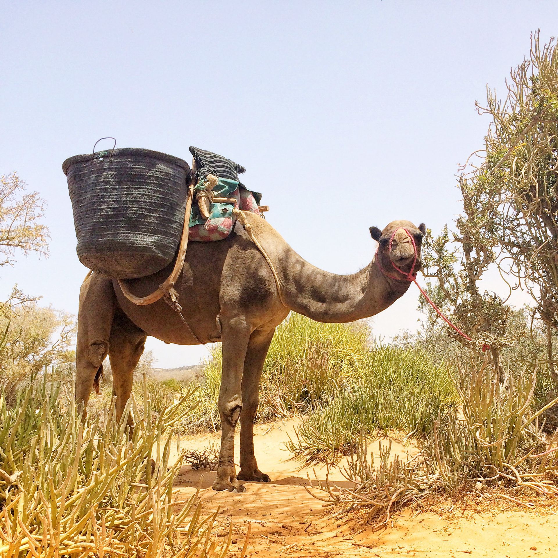MOROCCO