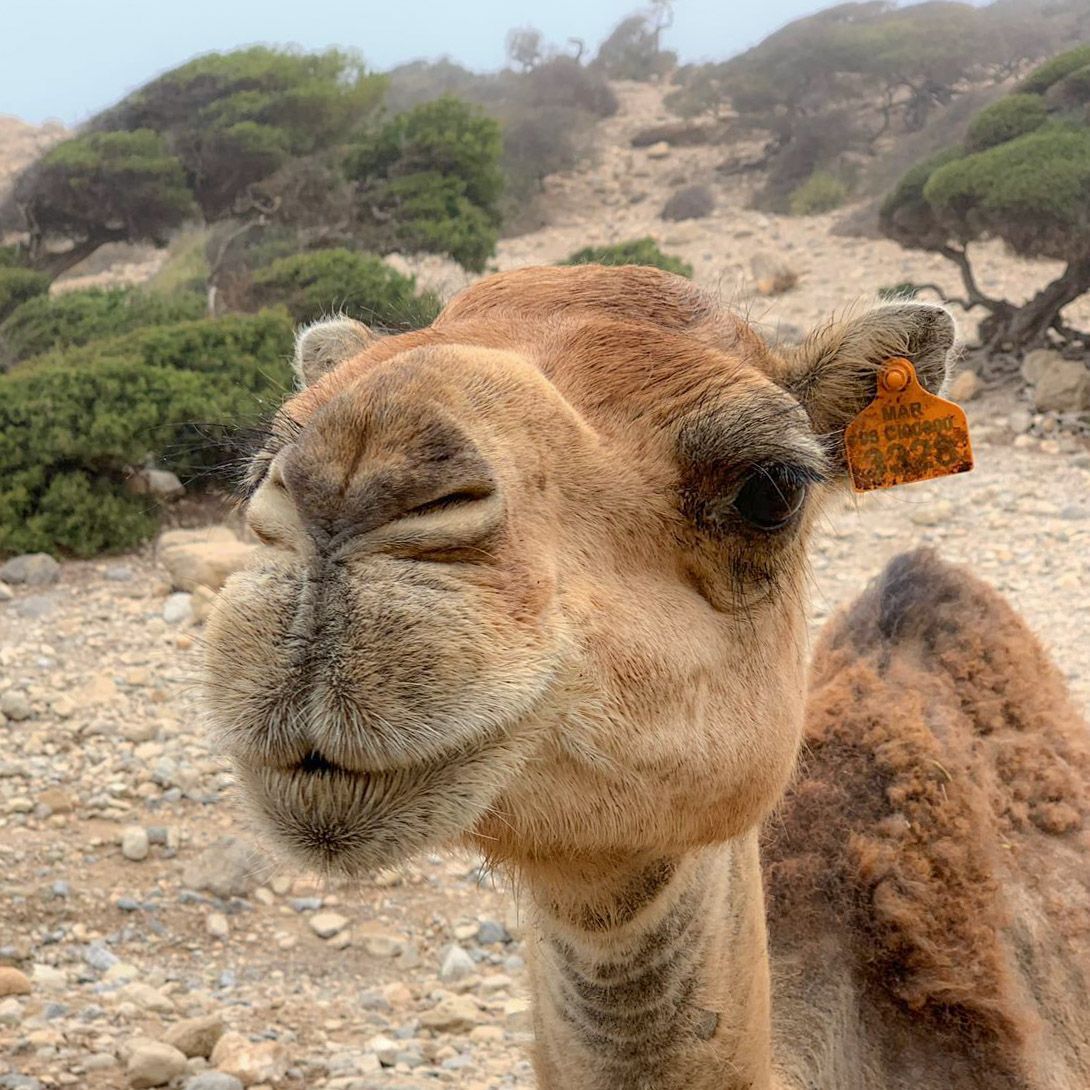 MOROCCO