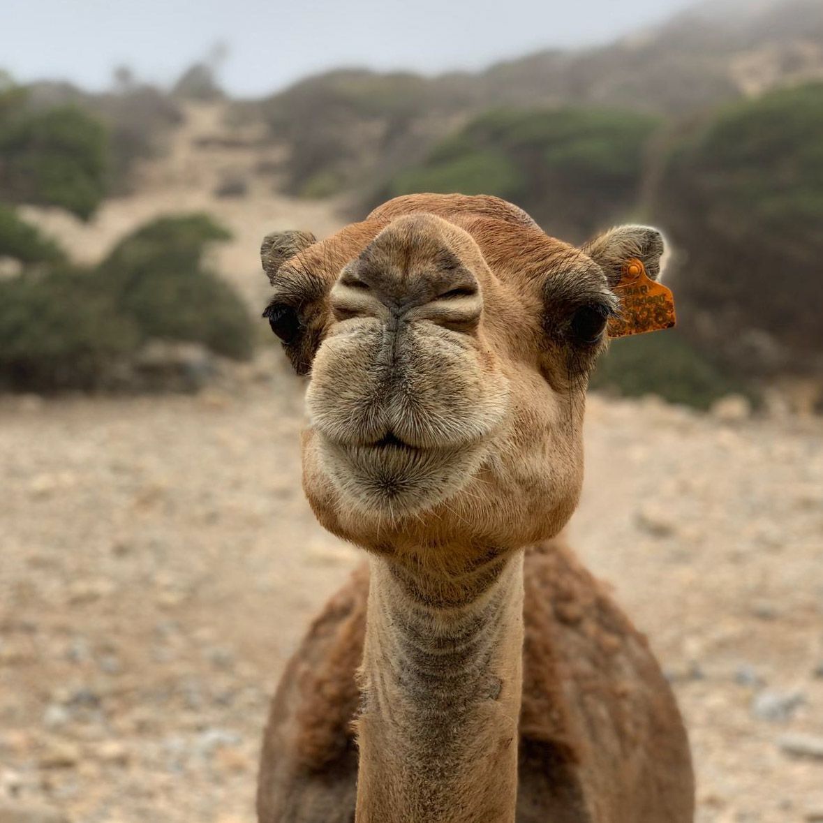 MOROCCO