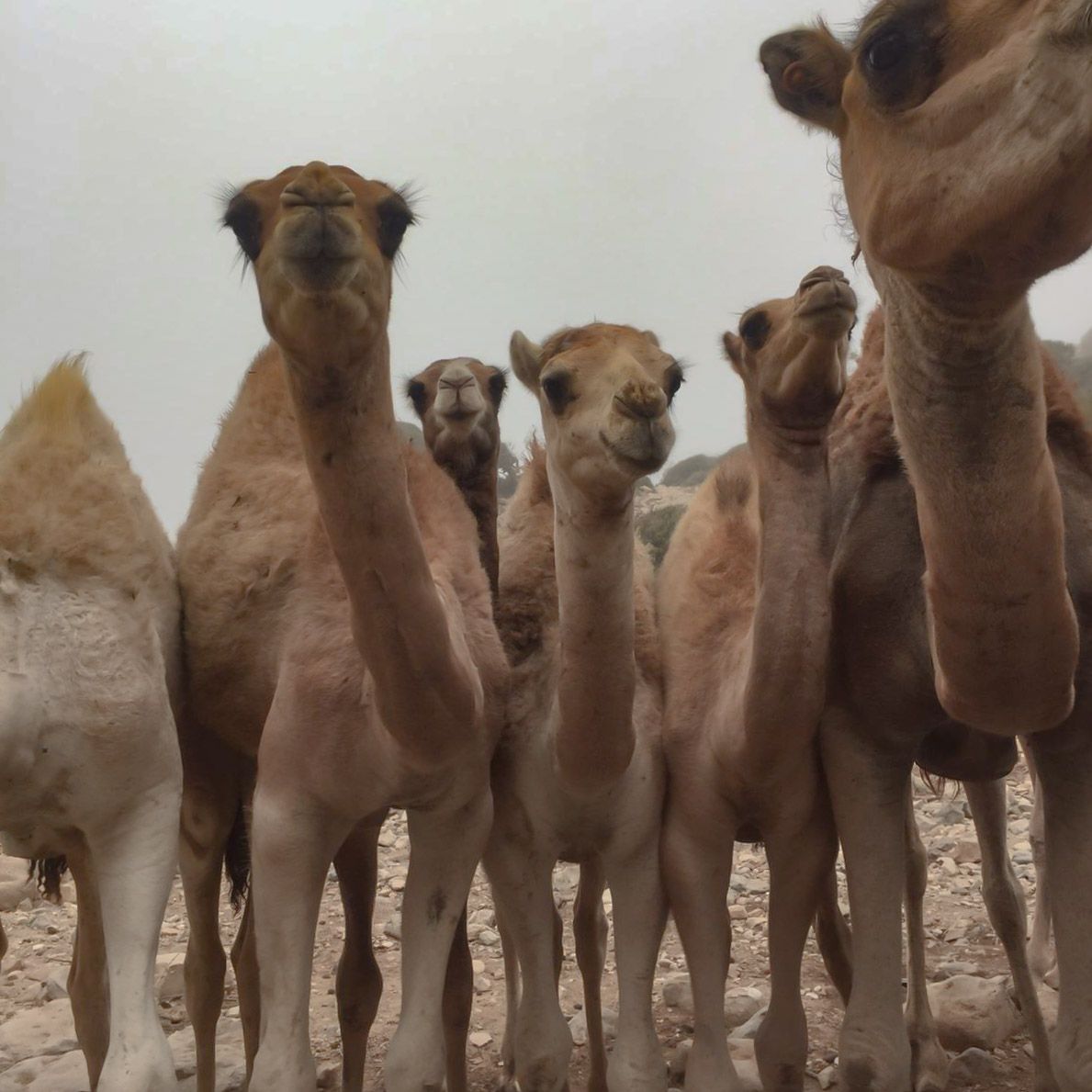 MOROCCO