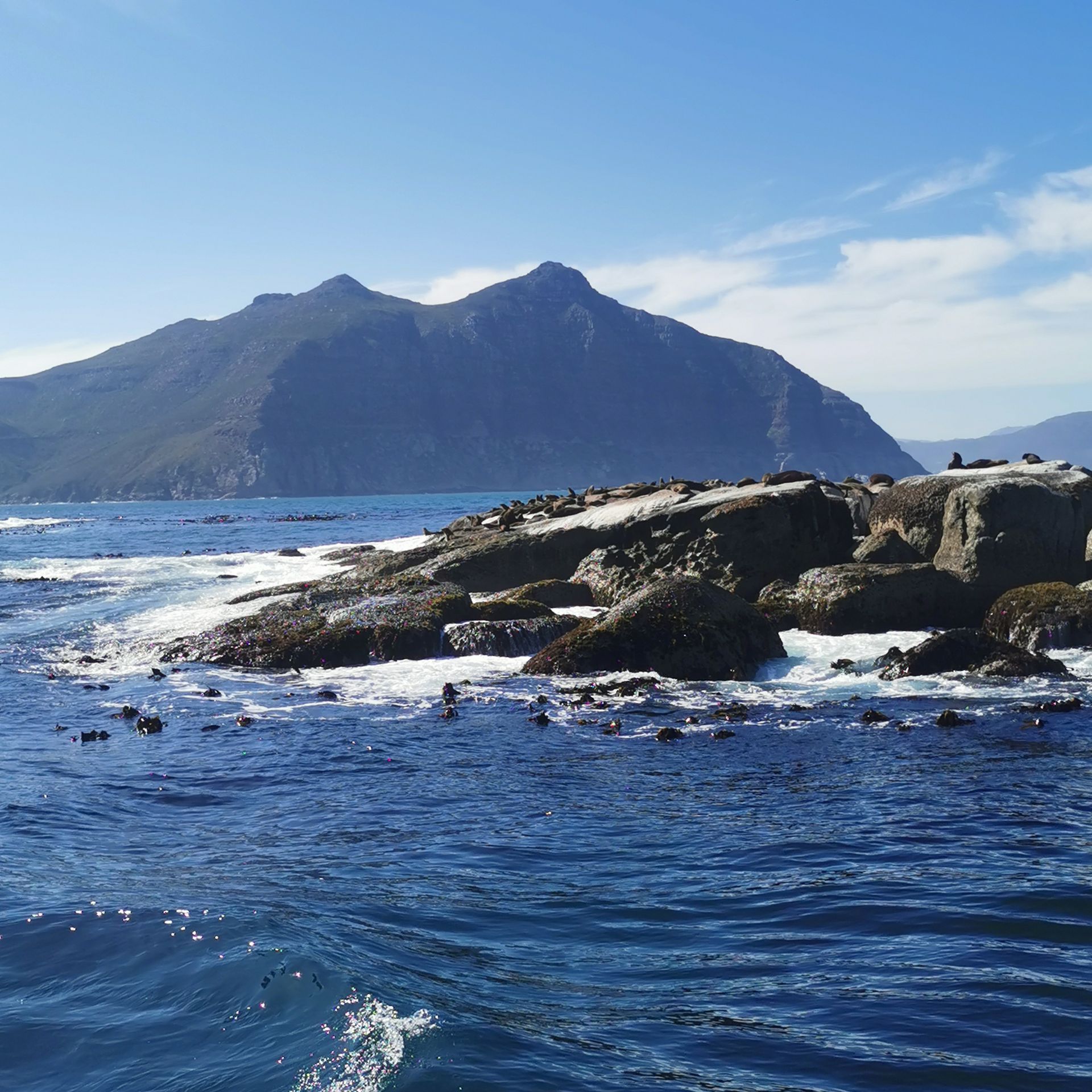 DIARY SOUTH AFRICA