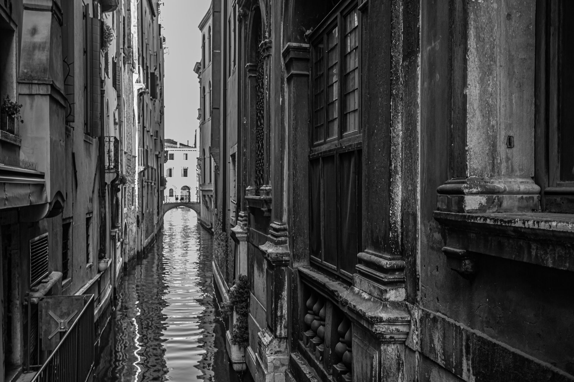 VENEZIA