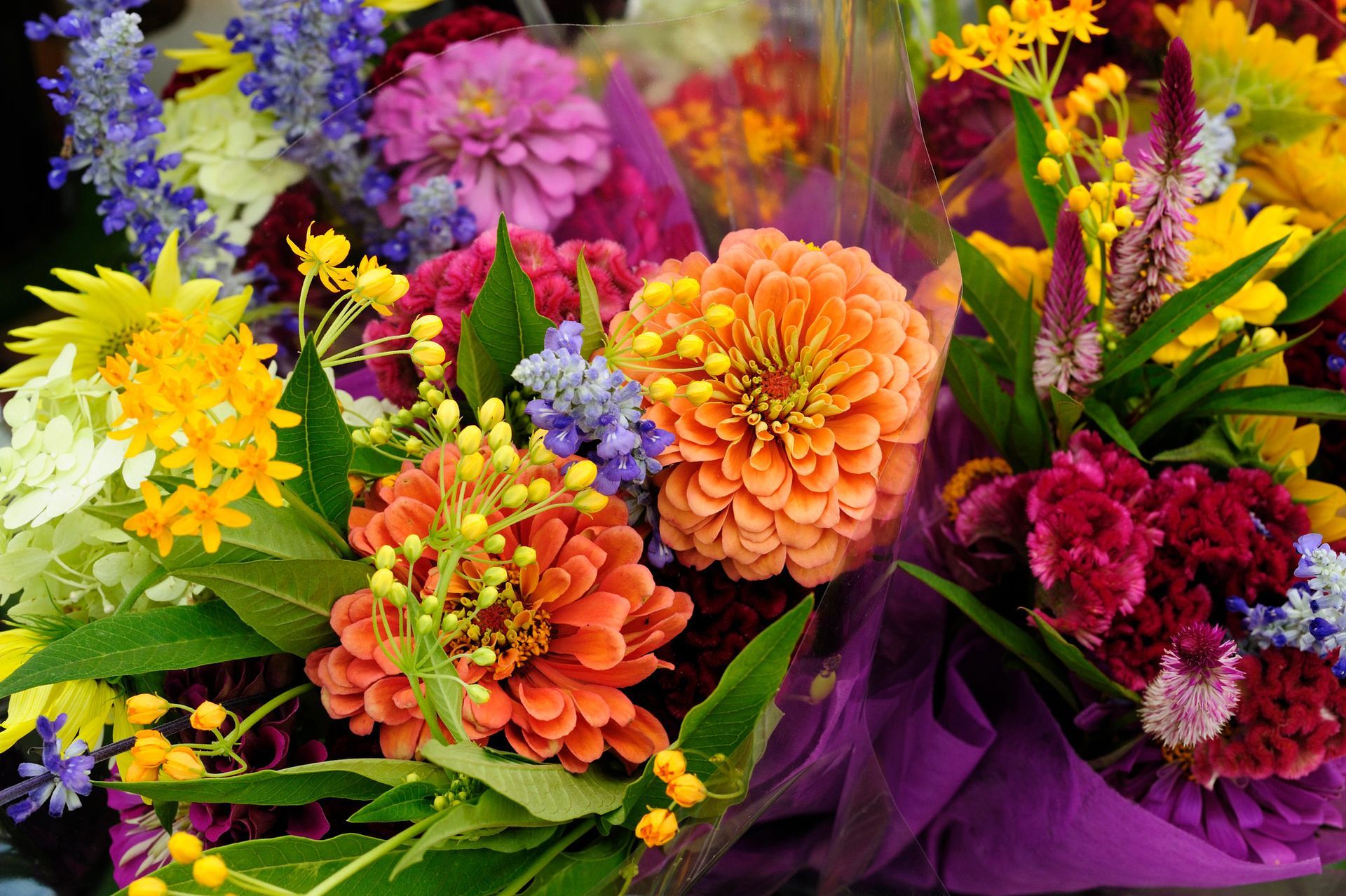 A bunch of colorful flowers are wrapped in purple paper.