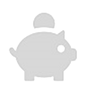 Gray piggy bank icon with a coin above it