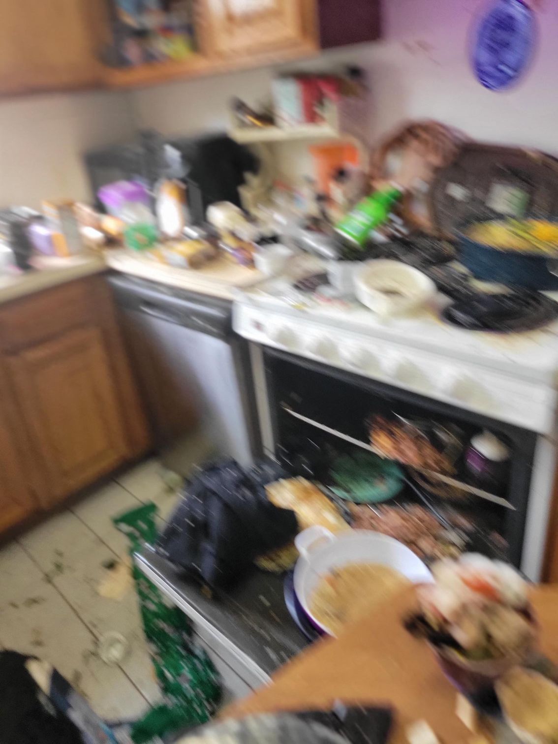 Messy kitchen: food debris scattered across counters, oven, and floor. Overturned items and dirty dishes present.