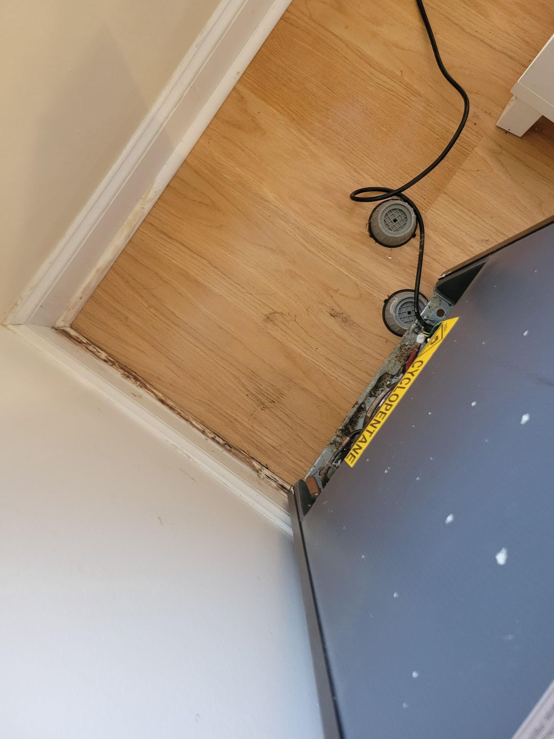 Wooden floor damaged near wall and skirting board; dark gray object next to it.