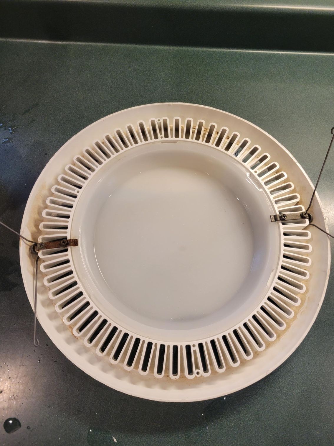 White plate with water inside a white slotted ring, inside another white plate, on a green surface.