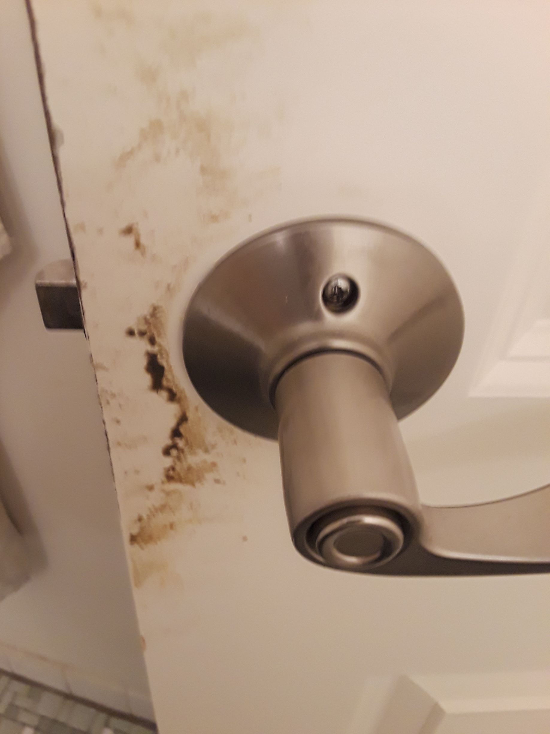 Mold stains on white door frame near a silver door handle.