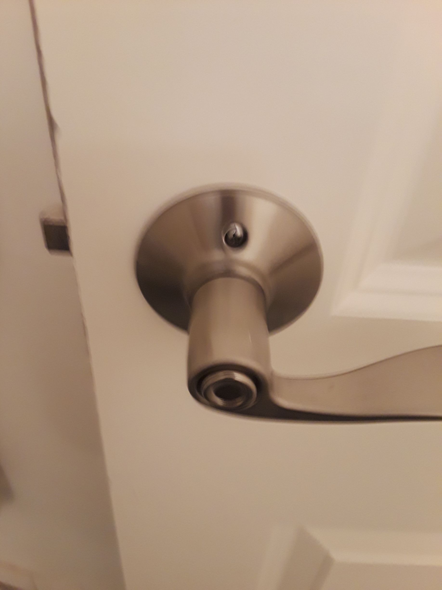 Door handle, silver color, mounted on a white door.