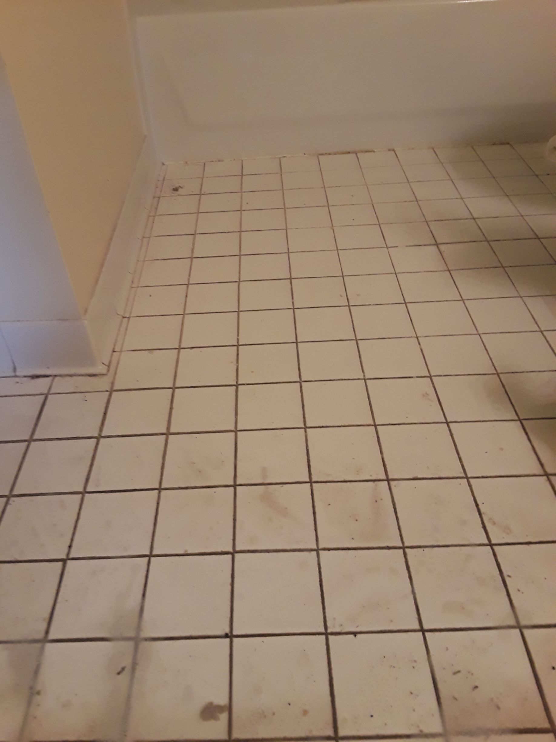 White tiled bathroom floor with dark grout, leading to a white tub and wall.