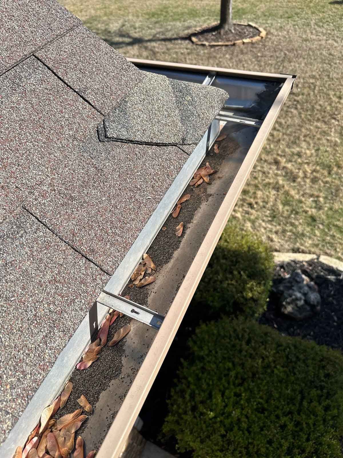 A gutter with leaves on it is sitting on top of a roof.
