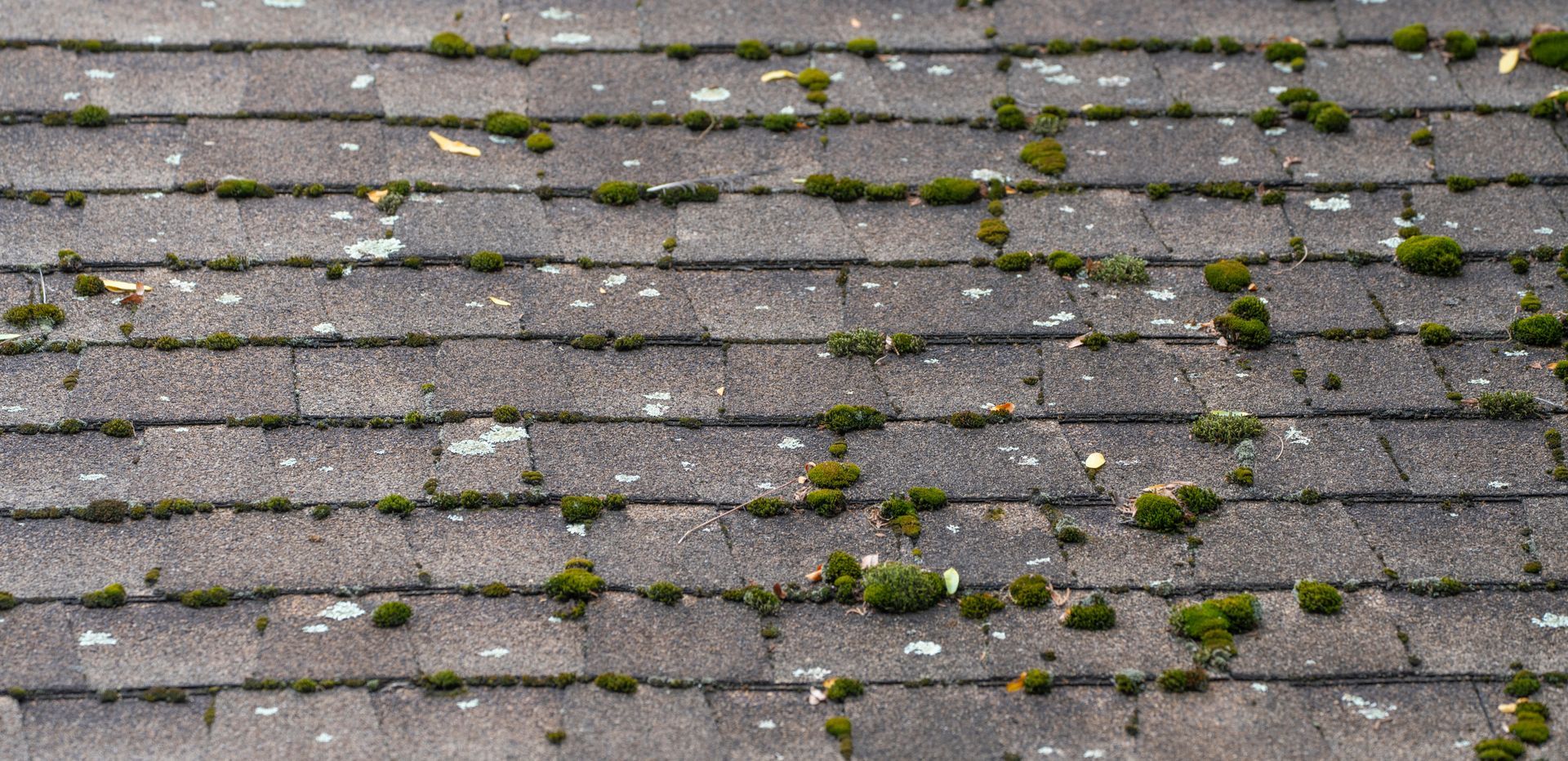 Blue-gray textured surface with fine horizontal lines and a mottled pattern