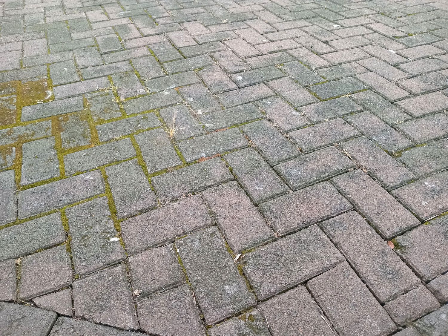 Gray and tan interlocking brick pavement with patches of moss and wear