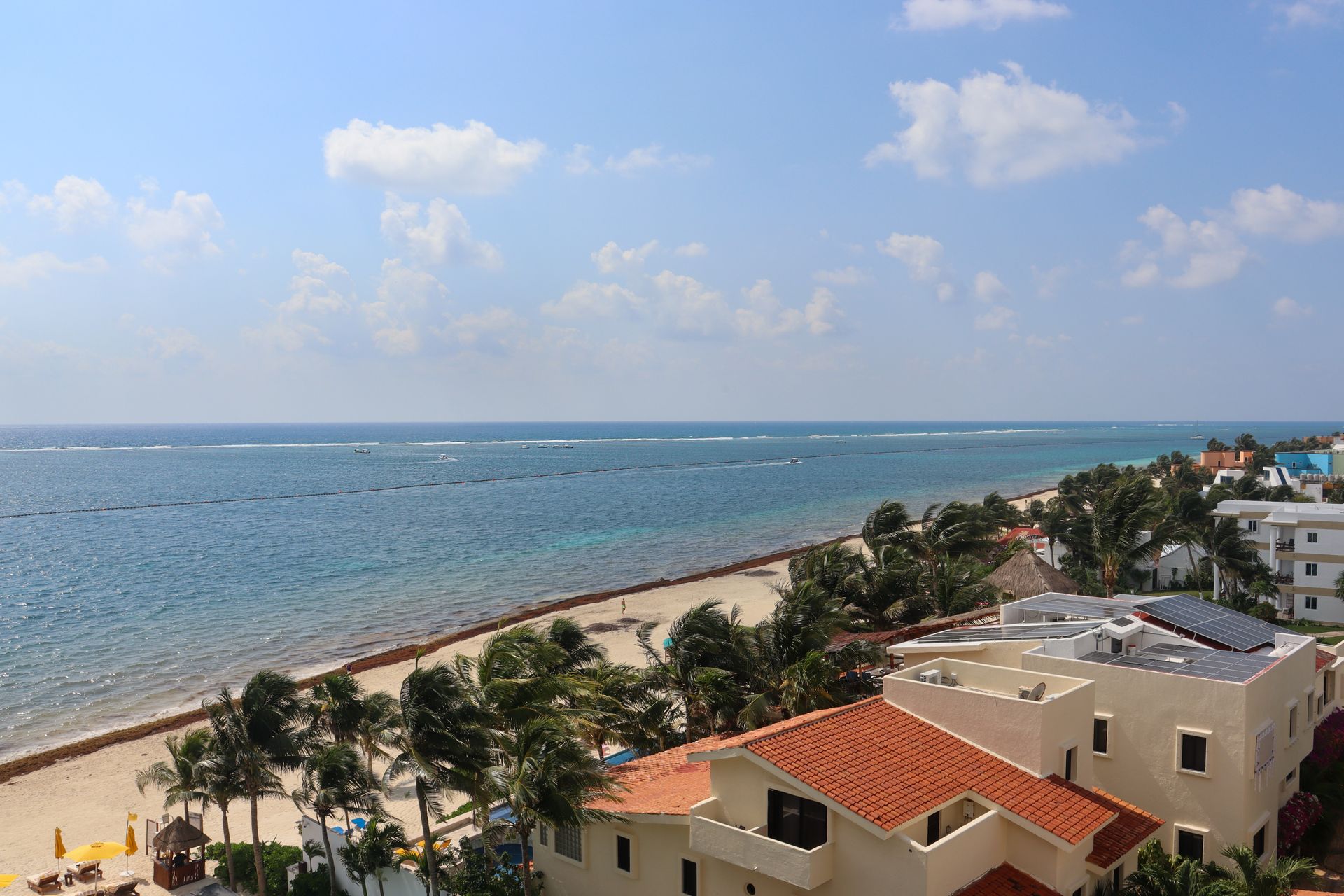 Coastal beach with blue ocean, sandy shore, palm trees, and seaside buildings under a bright sky