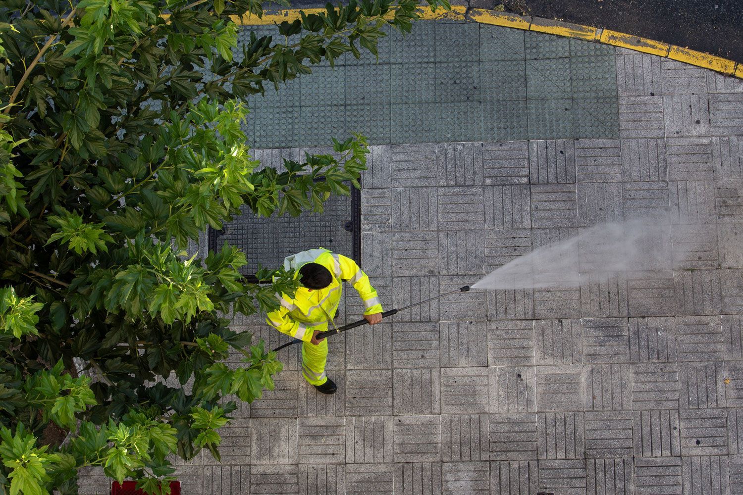 Worker in bright yellow rain gear spraying water on a paved surface beside bushes
