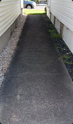 Gray and tan interlocking brick pavement with patches of moss and wear