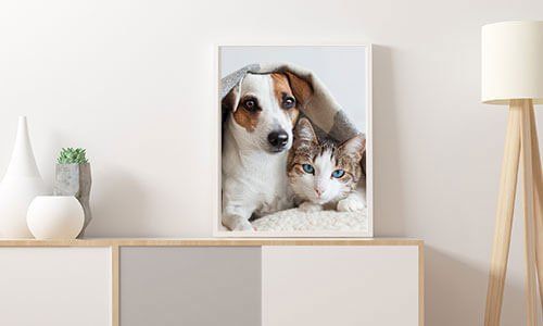 Large Print