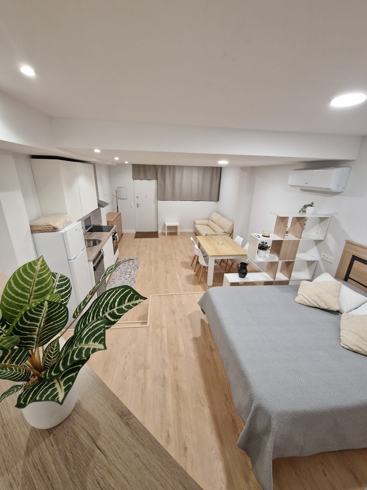 Apartamento tipo estudio luminoso con cama, mesa de comedor, cocina y planta en maceta.