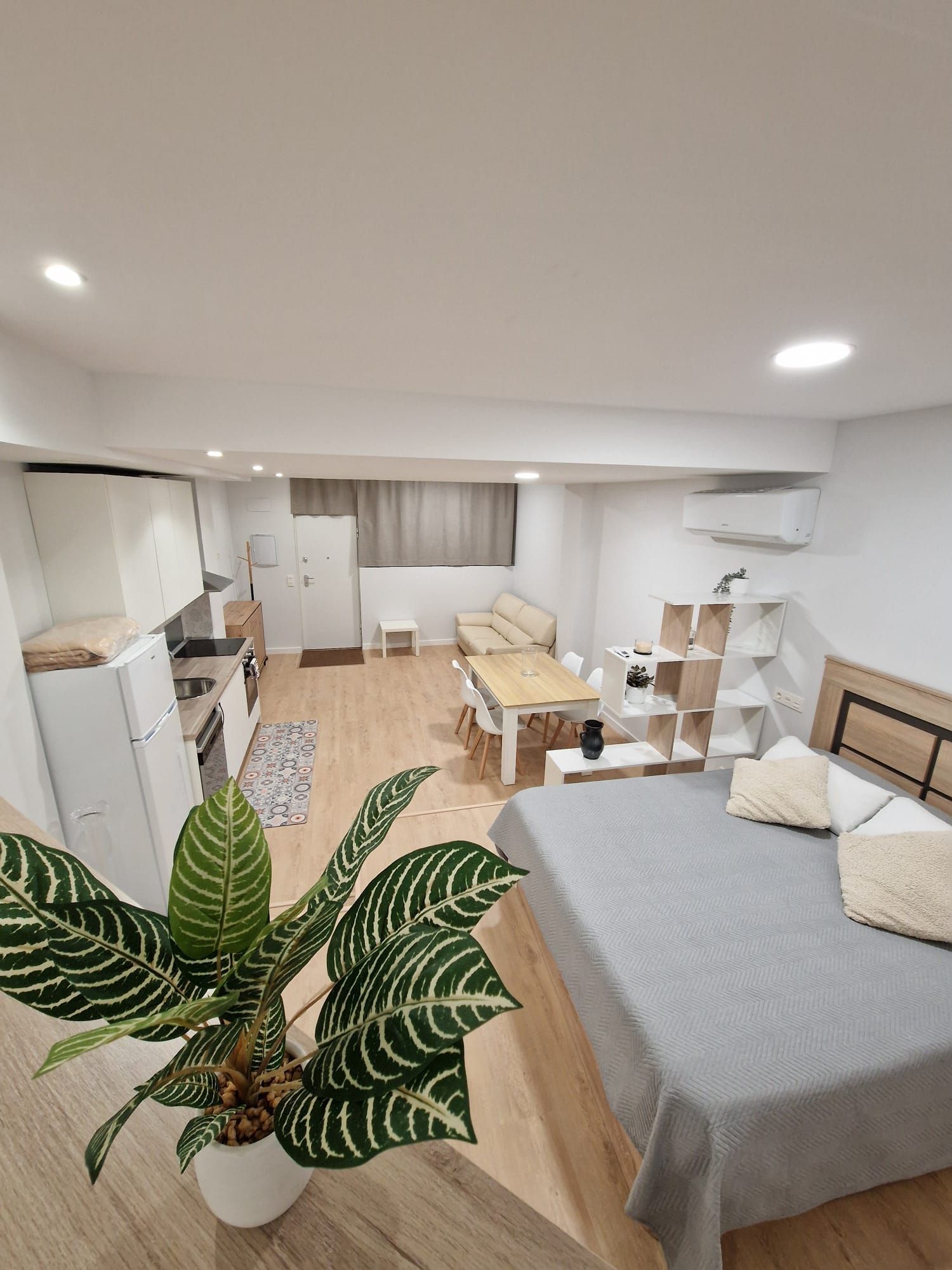 Apartamento tipo estudio luminoso y moderno con cama, cocina, zona de comedor y planta en maceta.