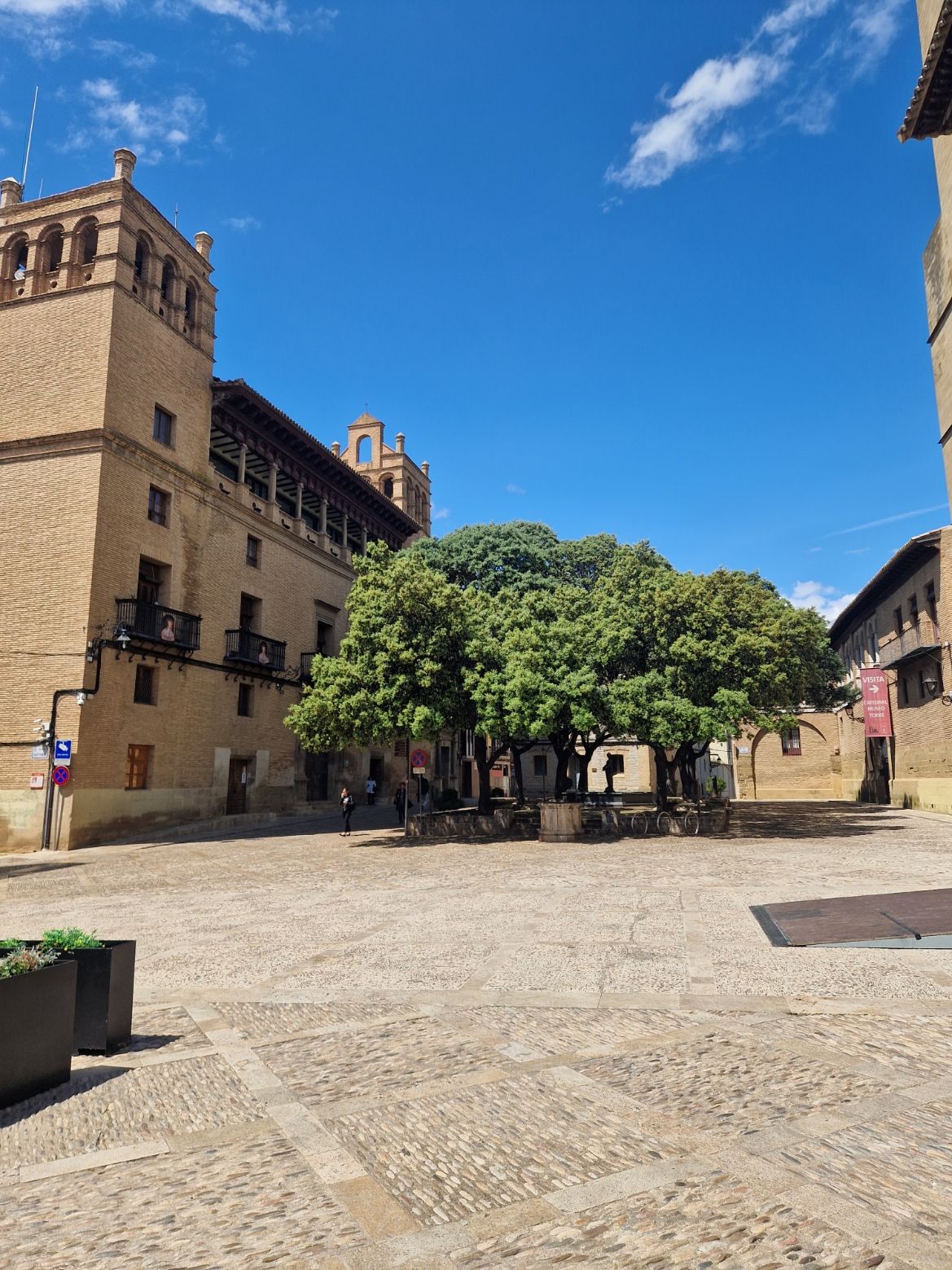 Patio histórico de piedra con un árbol frondoso bajo un cielo azul brillante, flanqueado por edificios antiguos.