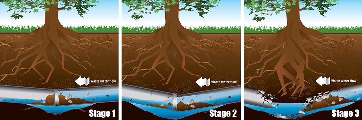 National Harbor Trenchless Sewer Line Repair | Book Now