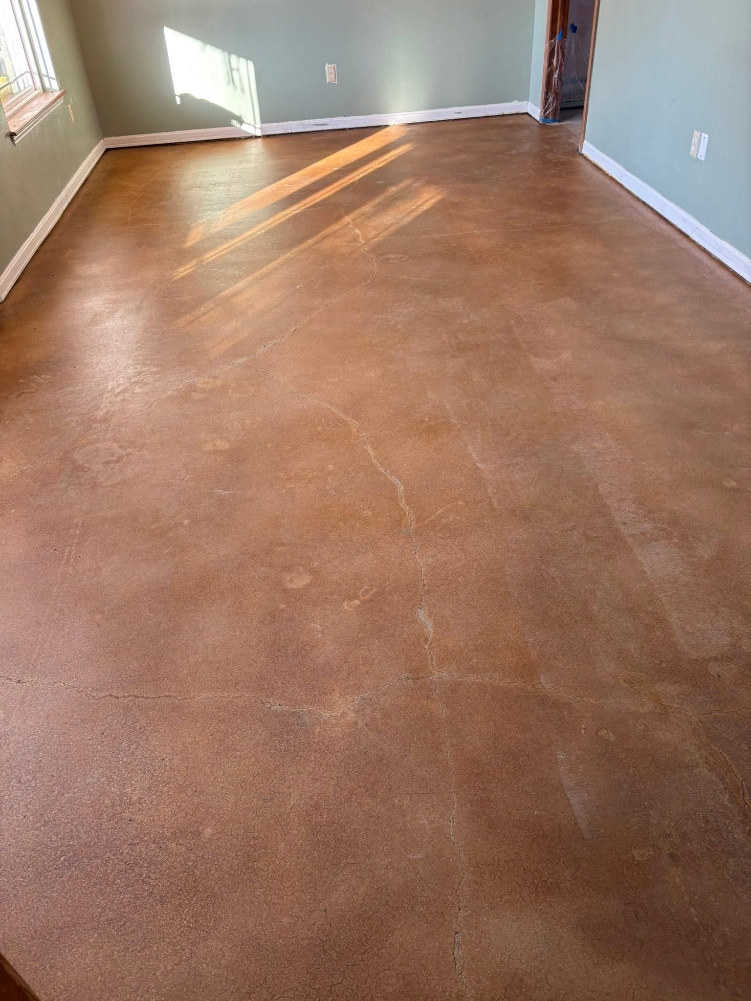 Empty room with brown carpet and sunlit windows on the left wall