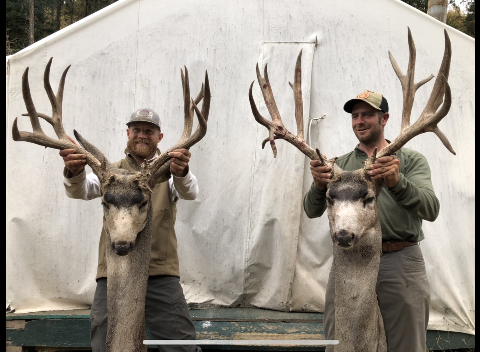 Wyoming Outfitter, WY Outfitters, Wyoming Hunting Guide