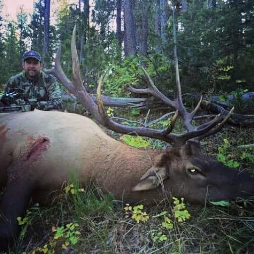 Wyoming Archery Elk Hunt