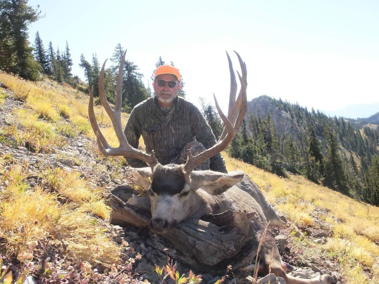 Mule Deer Hunting