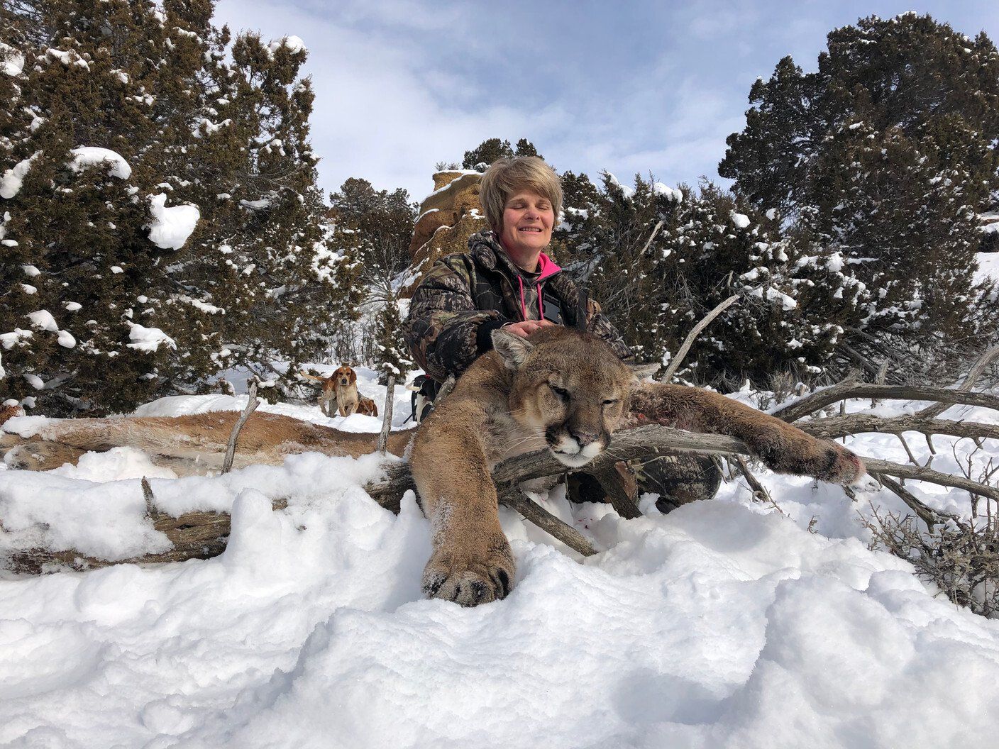 Wyoming Mountain Lion Hunt