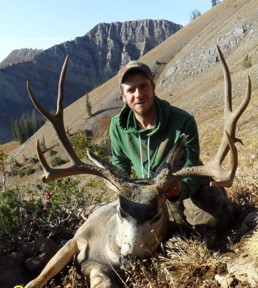 Western Wyoming Mule Deer