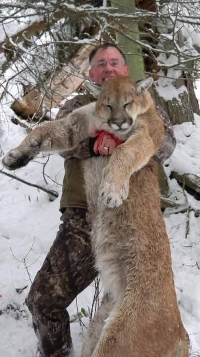 Wyoming Lion hunt