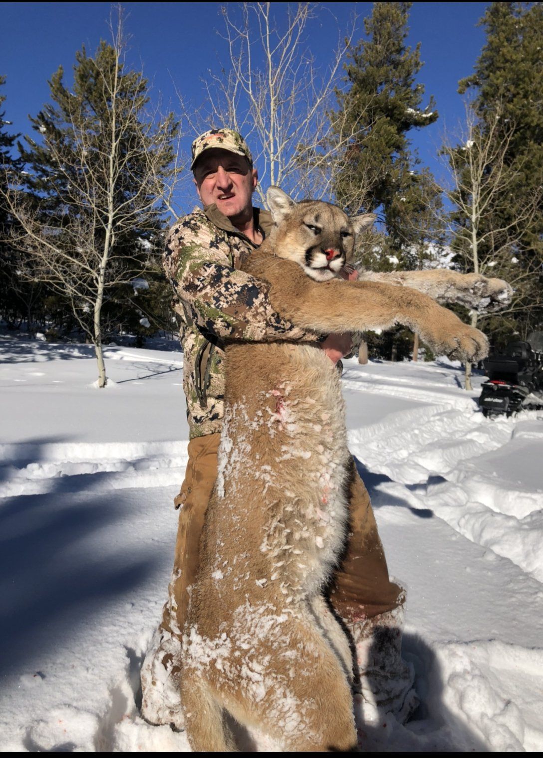 Wyoming Lion Hunt