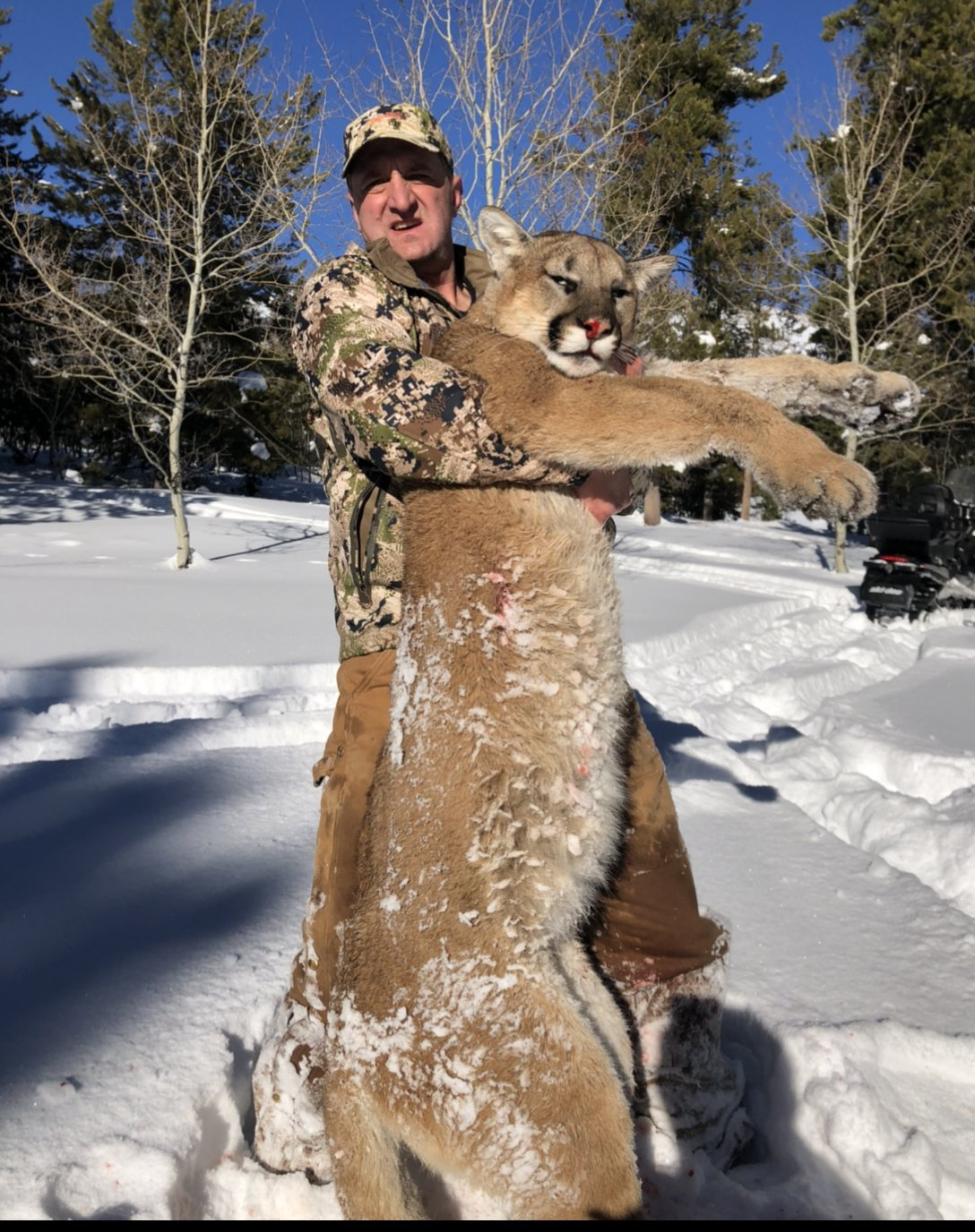 Wyoming hunting