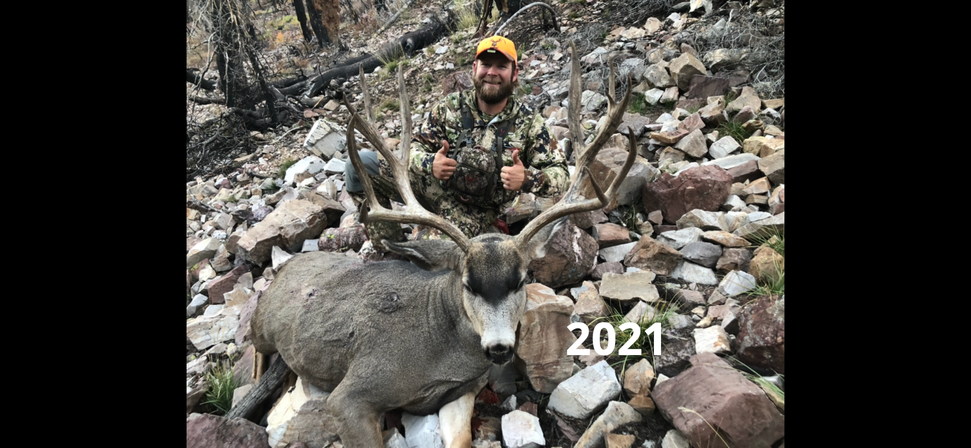 Wyoming Deer hunt