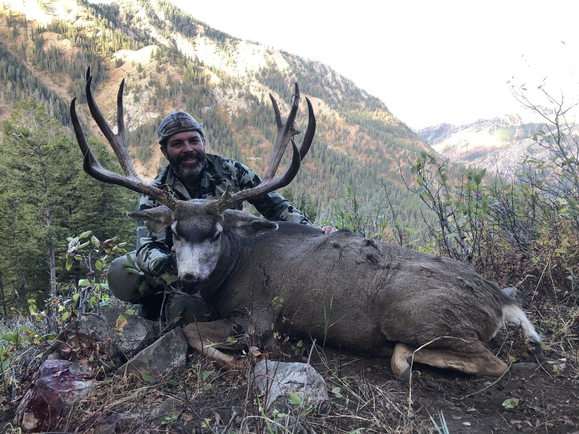 Region G Wyoming Guided hunt