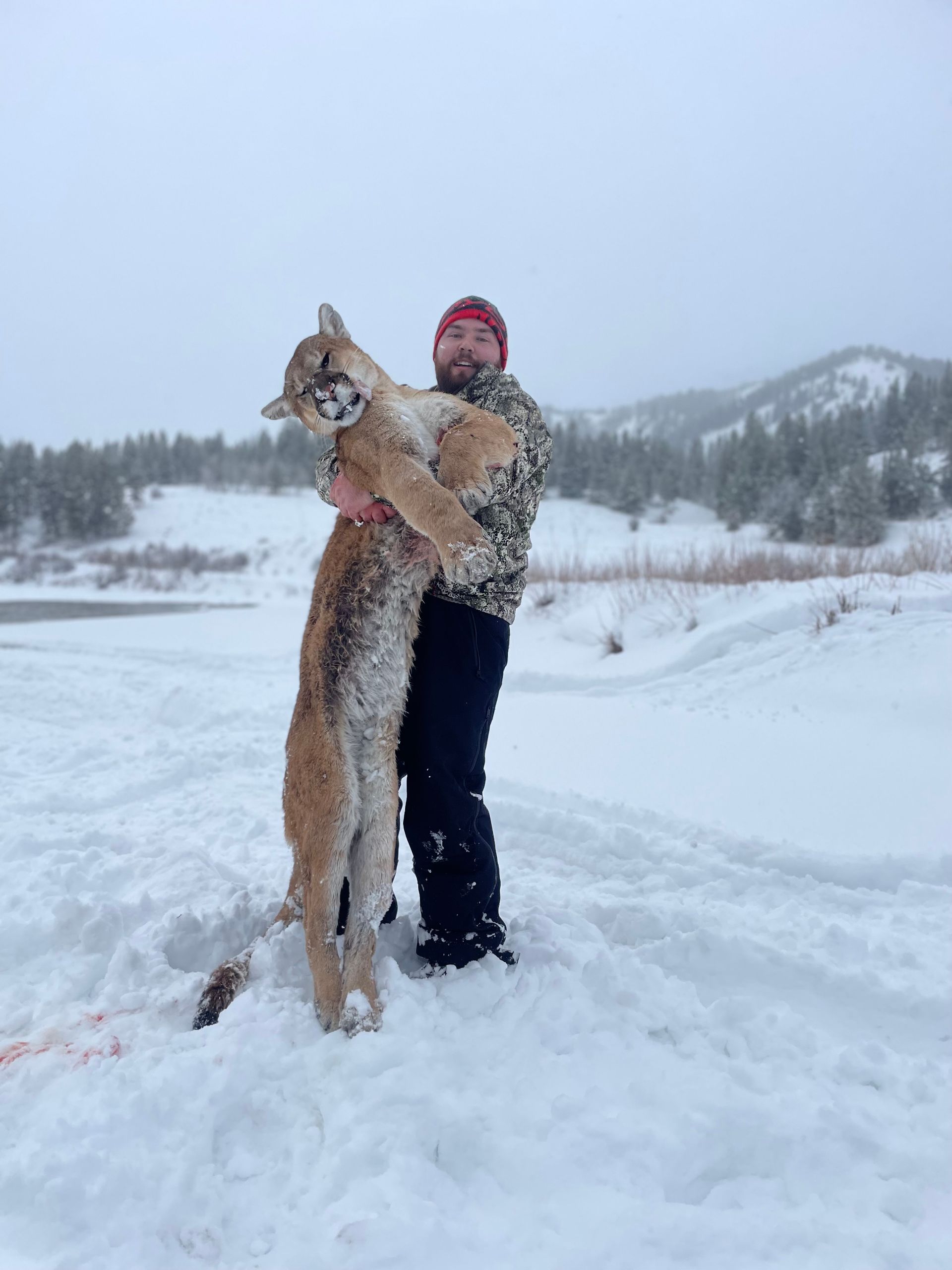 Wyoming Lion Hunt